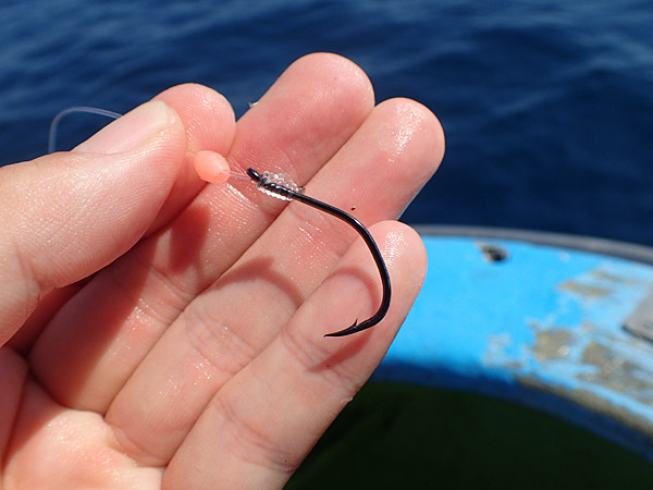 f:id:tamaokiyutaka:20180922225251j:plain