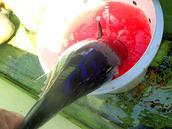 f:id:tamaokiyutaka:20180922225321j:plain