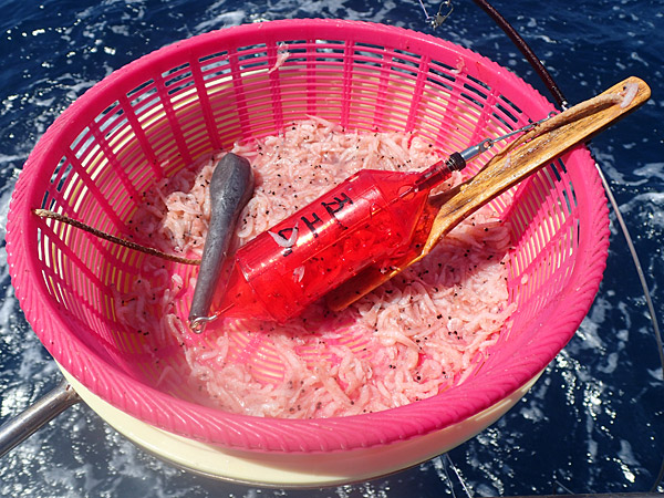 f:id:tamaokiyutaka:20180922225335j:plain