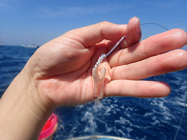 f:id:tamaokiyutaka:20180922225350j:plain