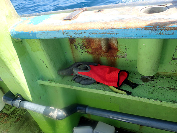 f:id:tamaokiyutaka:20180922225352j:plain