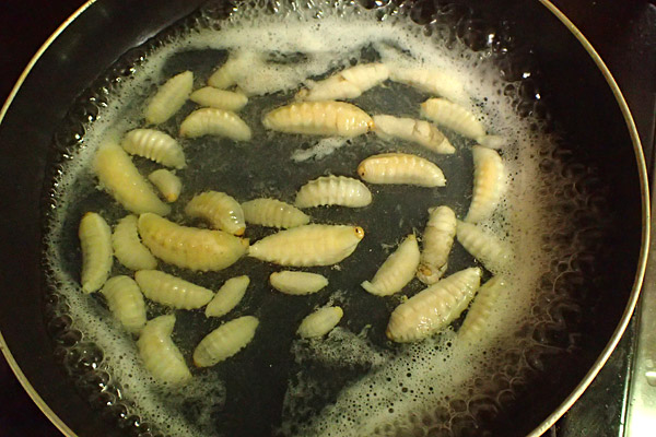 オオスズメバチの幼虫は味が強い！ - 私的標本：捕まえて食べる