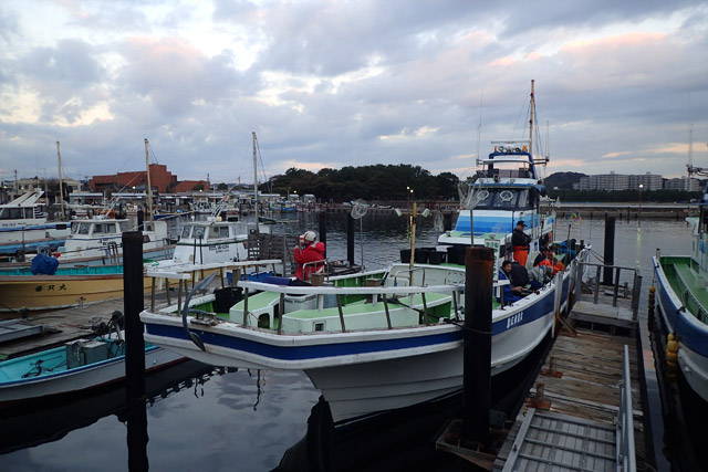 f:id:tamaokiyutaka:20190109231215j:plain