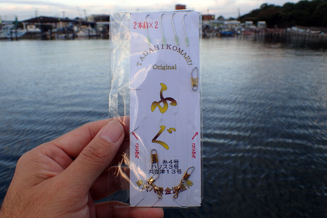 f:id:tamaokiyutaka:20190109231241j:plain