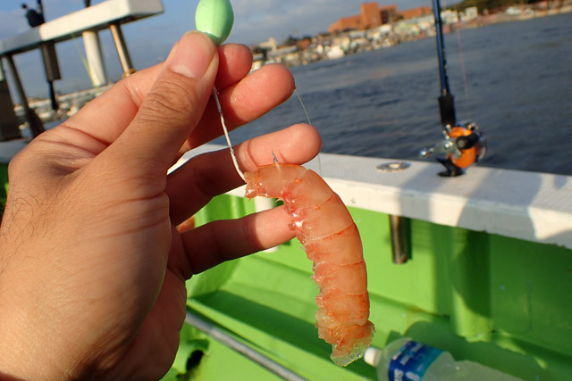 f:id:tamaokiyutaka:20190109231348j:plain