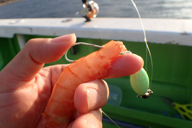 f:id:tamaokiyutaka:20190109231352j:plain