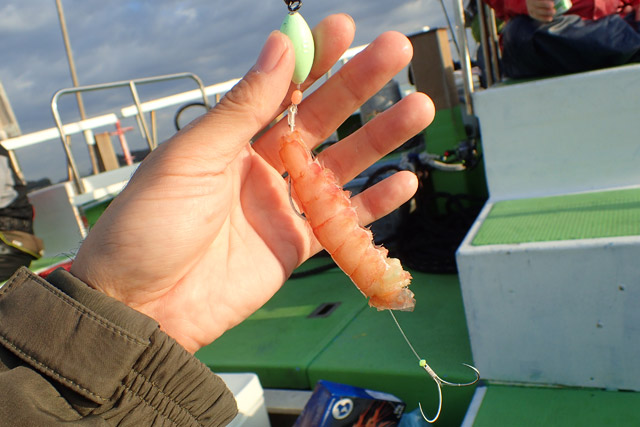 f:id:tamaokiyutaka:20190109231355j:plain