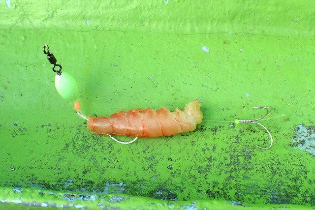 f:id:tamaokiyutaka:20190109231403j:plain