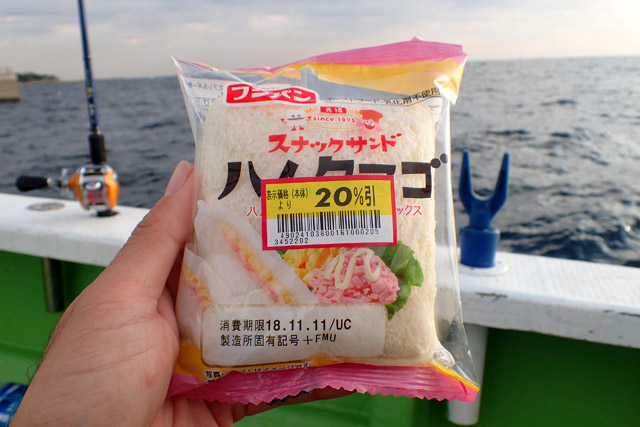 f:id:tamaokiyutaka:20190109231428j:plain