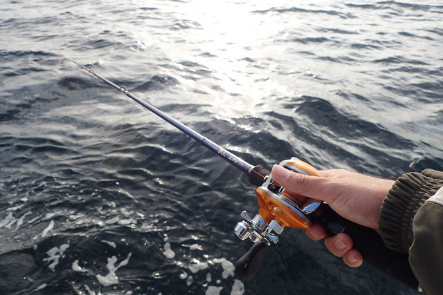 f:id:tamaokiyutaka:20190109231441j:plain