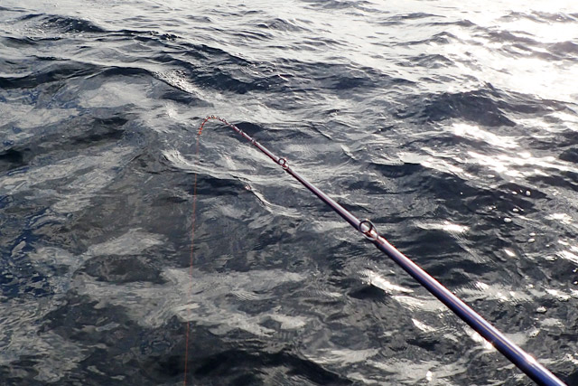 f:id:tamaokiyutaka:20190109231443j:plain