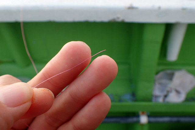 f:id:tamaokiyutaka:20190109231454j:plain