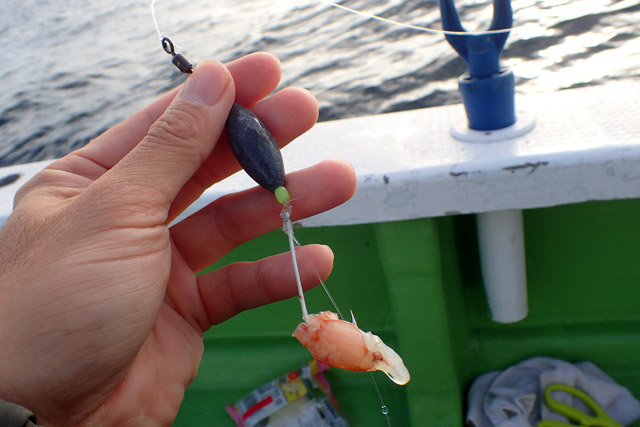 f:id:tamaokiyutaka:20190109231515j:plain