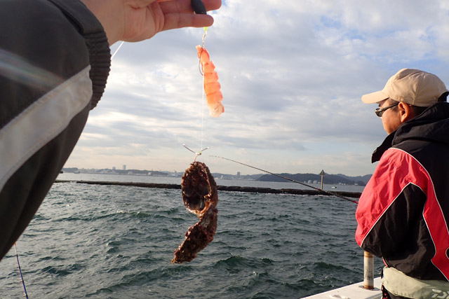 f:id:tamaokiyutaka:20190109231536j:plain