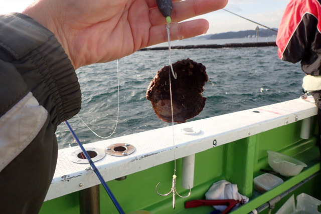 f:id:tamaokiyutaka:20190109231540j:plain