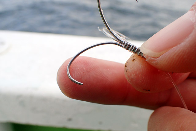 f:id:tamaokiyutaka:20190109231547j:plain