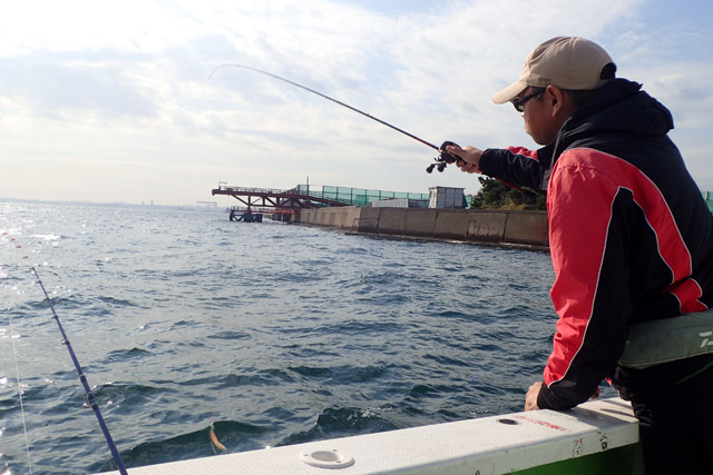 f:id:tamaokiyutaka:20190109231551j:plain