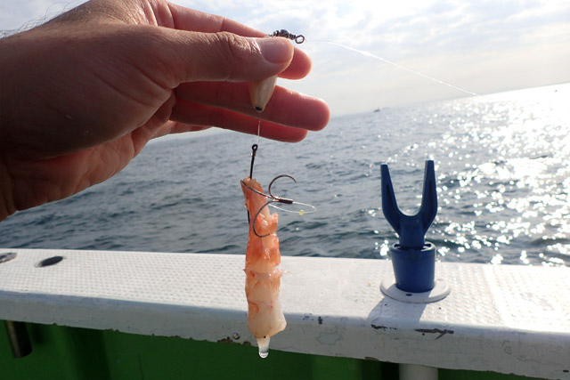 f:id:tamaokiyutaka:20190109231701j:plain