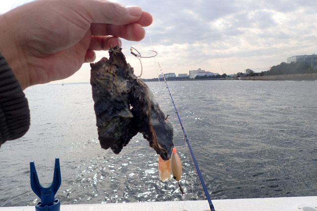 f:id:tamaokiyutaka:20190109231717j:plain