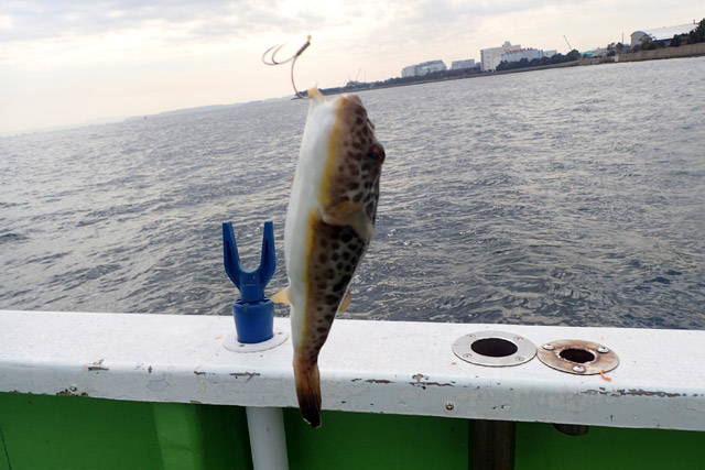 f:id:tamaokiyutaka:20190109231729j:plain