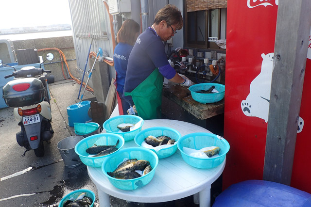 f:id:tamaokiyutaka:20190109231803j:plain