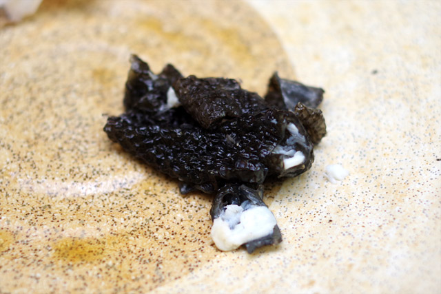 f:id:tamaokiyutaka:20190109231853j:plain