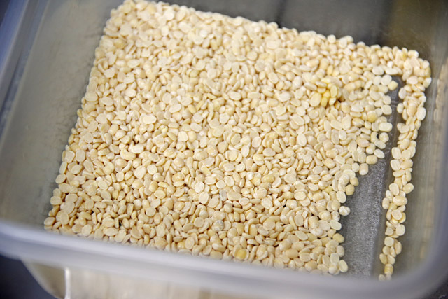 f:id:tamaokiyutaka:20190210003620j:plain f:id:tamaokiyutaka:20190210003620j:plain