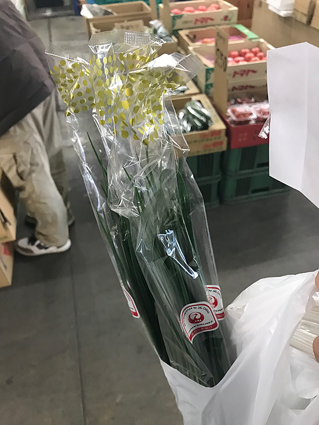 f:id:tamaokiyutaka:20190302000343j:plain