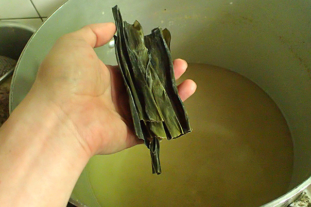 f:id:tamaokiyutaka:20190302011820j:plain f:id:tamaokiyutaka:20190302011820j:plain