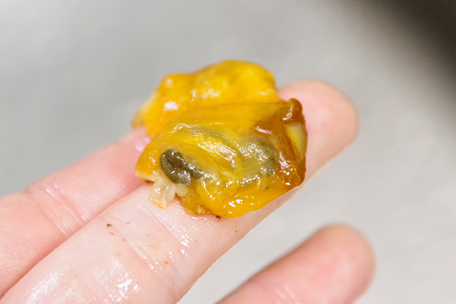 f:id:tamaokiyutaka:20190422124008j:plain f:id:tamaokiyutaka:20190422124008j:plain