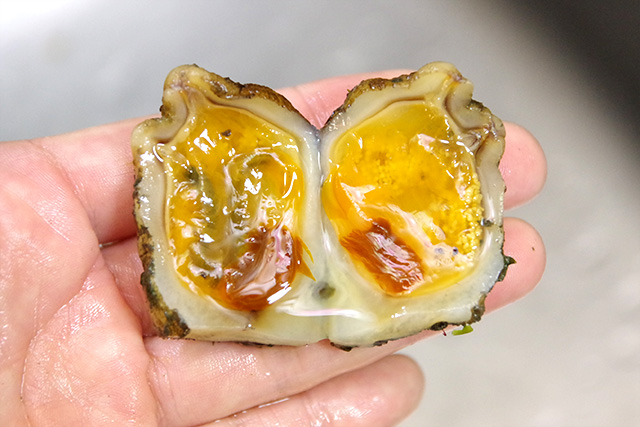 f:id:tamaokiyutaka:20190422124030j:plain f:id:tamaokiyutaka:20190422124030j:plain