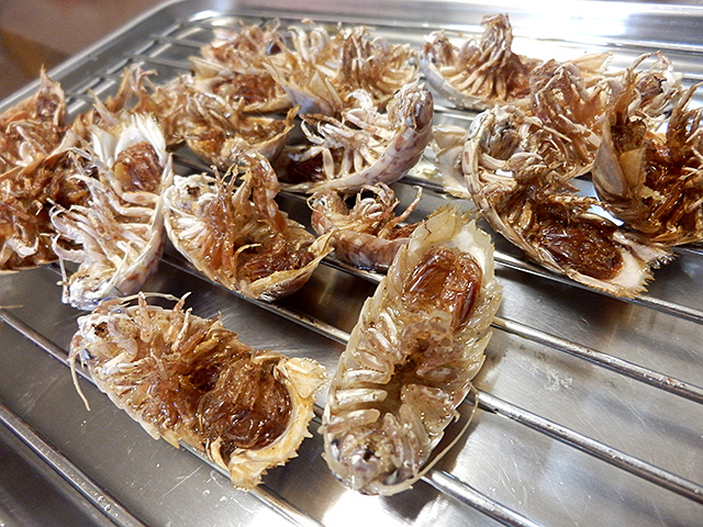 f:id:tamaokiyutaka:20190523001836j:plain f:id:tamaokiyutaka:20190523001836j:plain