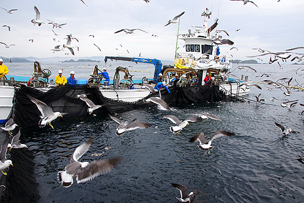 f:id:tamaokiyutaka:20190827233445j:plain f:id:tamaokiyutaka:20190827233445j:plain