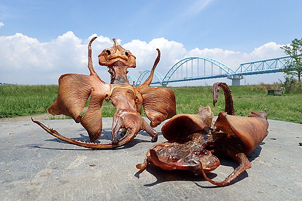 f:id:tamaokiyutaka:20190827233939j:plain f:id:tamaokiyutaka:20190827233939j:plain