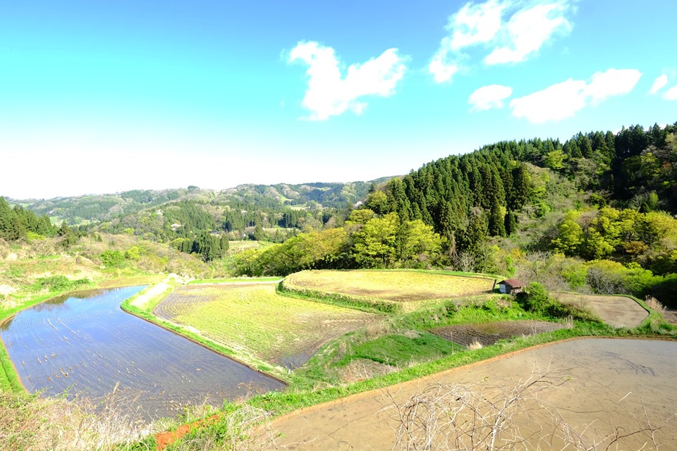 f:id:tamaokiyutaka:20191028114839j:plain f:id:tamaokiyutaka:20191028114839j:plain