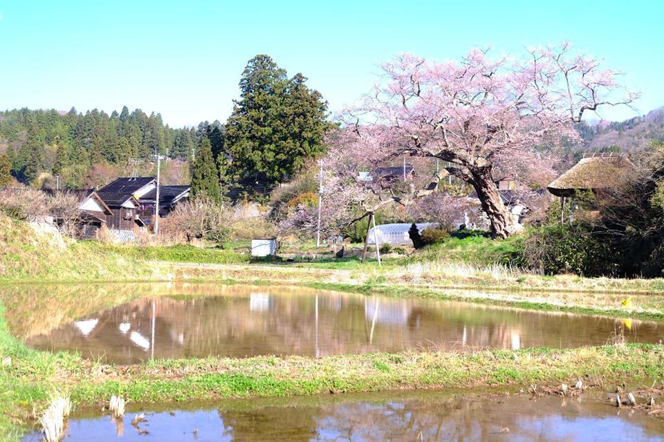 f:id:tamaokiyutaka:20191028114900j:plain