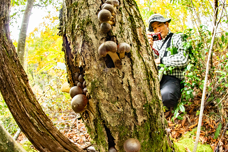 f:id:tamaokiyutaka:20191120232015j:plain