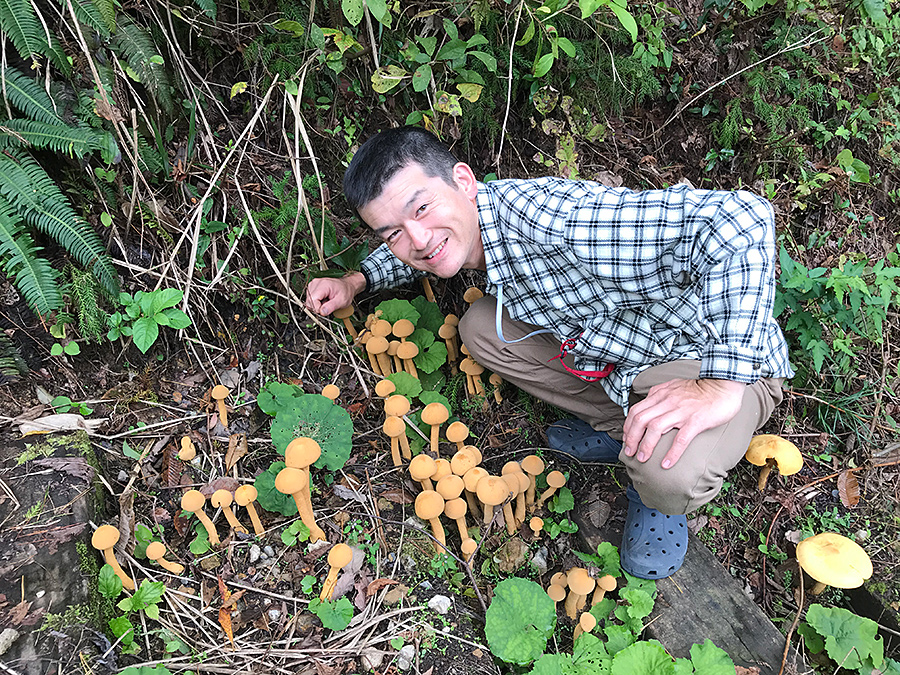 f:id:tamaokiyutaka:20191122070802j:plain