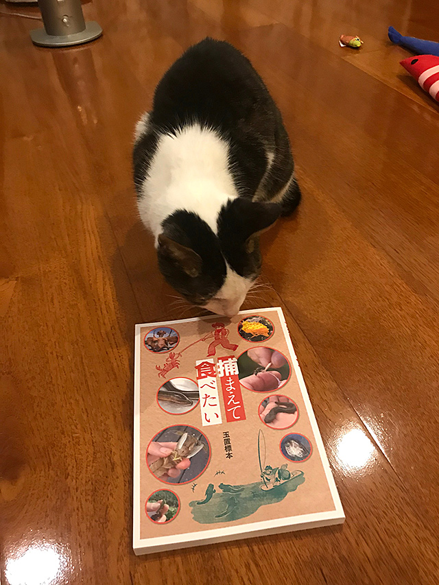 f:id:tamaokiyutaka:20200103000914j:plain f:id:tamaokiyutaka:20200103000914j:plain