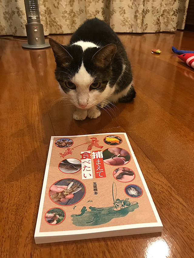 f:id:tamaokiyutaka:20200103000922j:plain f:id:tamaokiyutaka:20200103000922j:plain