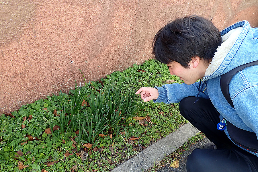 f:id:tamaokiyutaka:20200122003904j:plain f:id:tamaokiyutaka:20200122003904j:plain