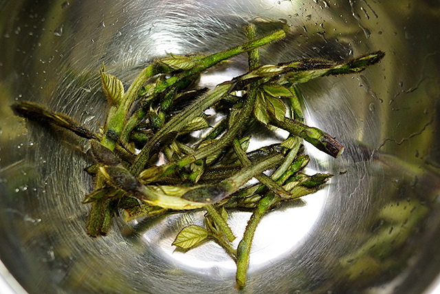 f:id:tamaokiyutaka:20200425161258j:plain