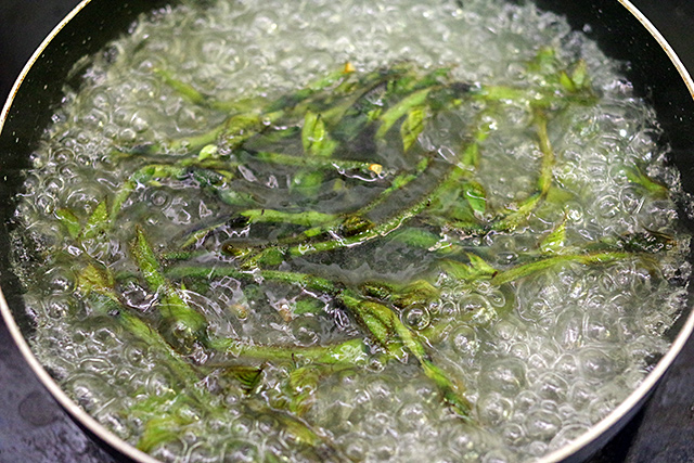 f:id:tamaokiyutaka:20200425161334j:plain