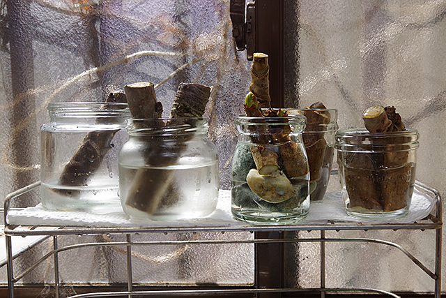 f:id:tamaokiyutaka:20200511145139j:plain