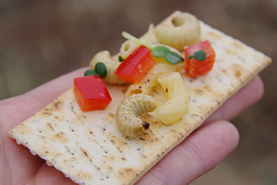 f:id:tamaokiyutaka:20200523200822j:plain