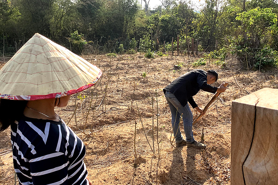 f:id:tamaokiyutaka:20200527034528j:plain