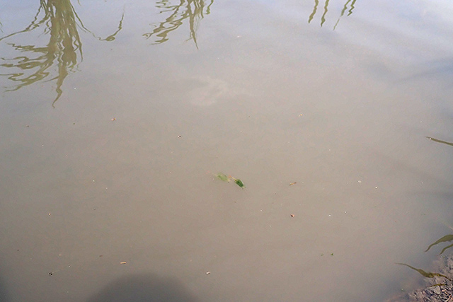 f:id:tamaokiyutaka:20200619103614j:plain f:id:tamaokiyutaka:20200619103614j:plain