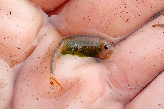 f:id:tamaokiyutaka:20200619104112j:plain f:id:tamaokiyutaka:20200619104112j:plain