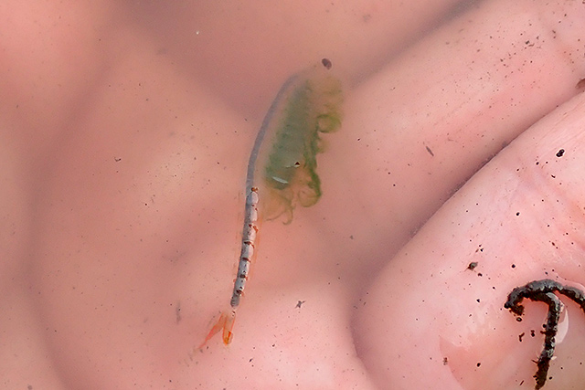 f:id:tamaokiyutaka:20200619104144j:plain f:id:tamaokiyutaka:20200619104144j:plain