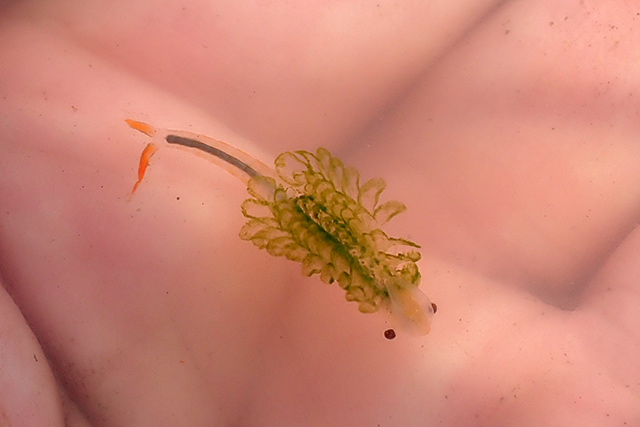 f:id:tamaokiyutaka:20200619104331j:plain f:id:tamaokiyutaka:20200619104331j:plain